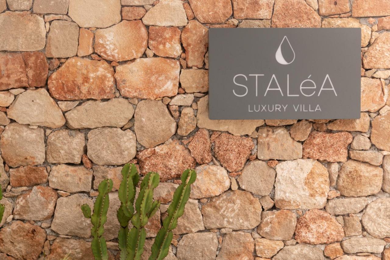 Stalea Luxury Villa Pefki  외부 사진